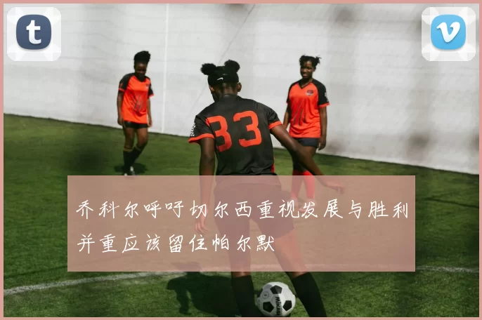 乔科尔呼吁切尔西重视发展与胜利并重应该留住帕尔默